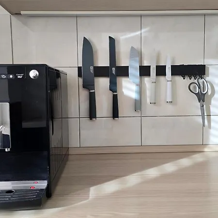 Kulturelles Businessapartment Mit Balkon Lejlighed